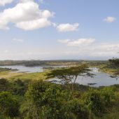  Arusha NP, TZ